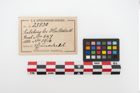 Etiketten zu Bronzedeckel (NHMW-PRAE-025830)